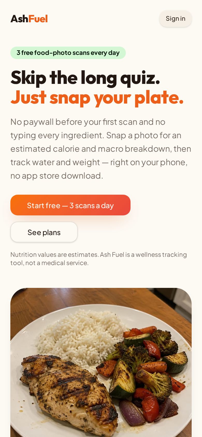 AshFuel, as it opens in a browser tab